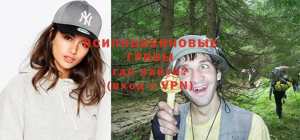 apvp Сатка