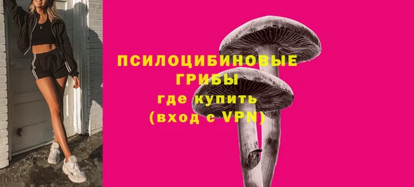 твердый Алзамай