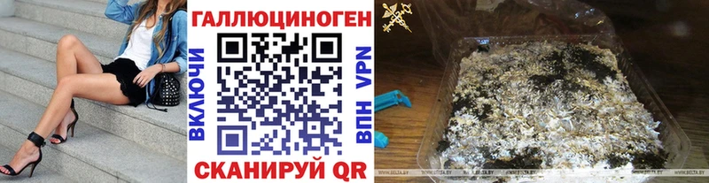 Псилоцибиновые грибы Psilocybine cubensis  Ленинск-Кузнецкий 