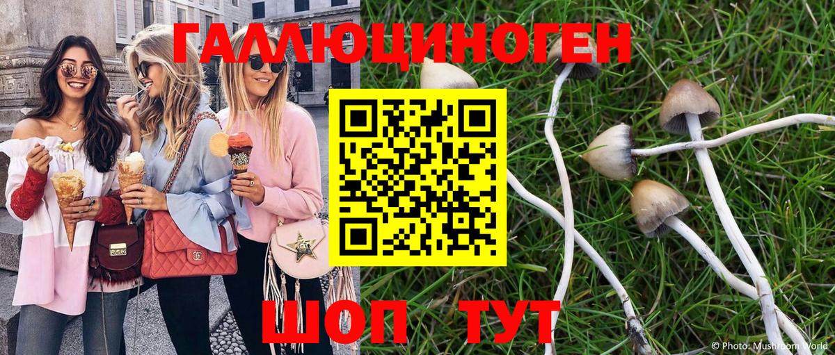 Псилоцибиновые грибы мухоморы Ленинск-Кузнецкий