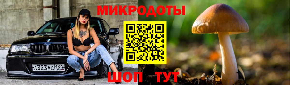 Ленинск-Кузнецкий  где купить наркоту  Вход с VPN  Псилоцибиновые грибы мухоморы  Галлюциногенные грибы ЛСД 