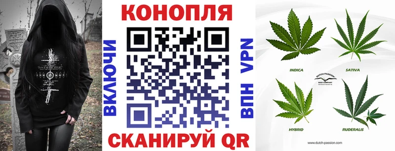 Бошки марихуана конопля  Ленинск-Кузнецкий 